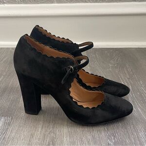 Aerin Black Suede Scallop Pumps Size 9.5